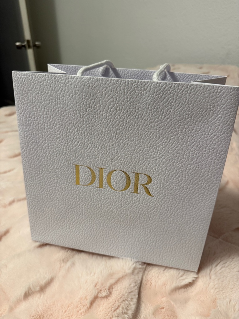DIOR Shopping Bag